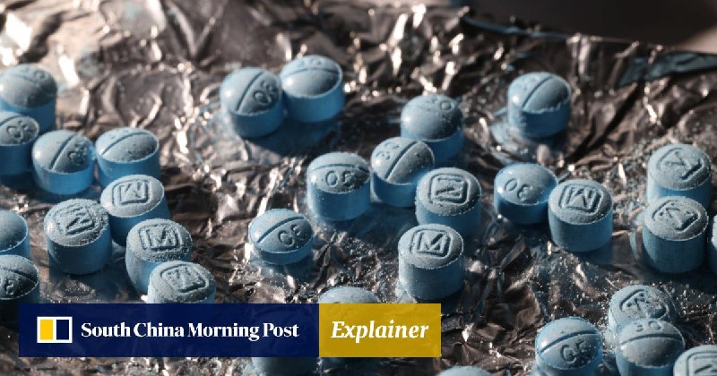 Explainer | Why did Donald Trump link the US fentanyl crisis to tariffs on China?