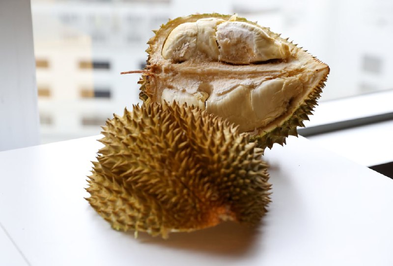 China-grown durian, Lunar New Year travel demand, Macau’s economy: 5 weekend readsBy SCMPWe have put together stories from our coverage last weekend to help you stay informed about news across Asia and beyond. If you would like to see more of our reporting, please consider subscribing.Crowds of people walk past the Peace Hotel on Shanghai’s Bund during the Lunar New Year holiday in February 2024. Photo: AFPillustration: Henry WongA study has found key differences between durian grown in China compared with Southeast Asia. Photo: Sun Yeungvia SCMP Full Text FeedChina-grown durian, Lunar New Year travel demand, Macau’s economy: 5 weekend readsBy SCMPWe have put together stories from our coverage last weekend to help you stay informed about news across Asia and beyond. If you would like to see more of our reporting, please consider subscribing.Crowds of people walk past the Peace Hotel on Shanghai’s Bund during the Lunar New Year holiday in February 2024. Photo: AFPillustration: Henry WongA study has found key differences between durian grown in China compared with Southeast Asia. Photo: Sun Yeungvia SCMP Full Text Feed